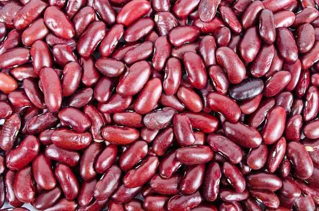 ராஜ்மா நன்மைகள் - Rajma Benefits in Tamil