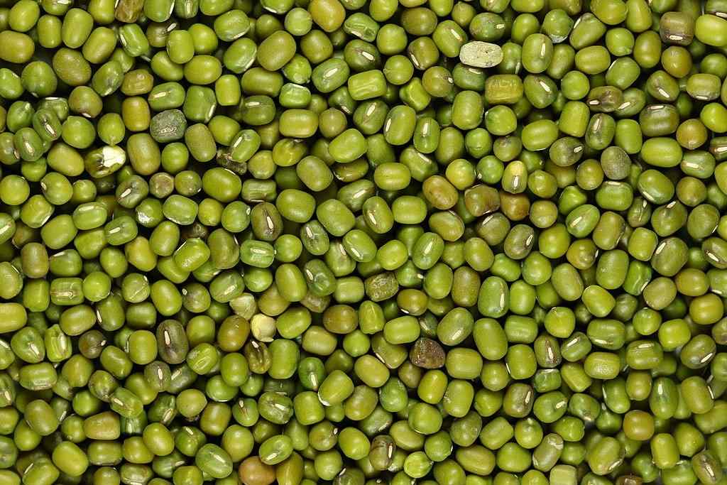 பாசிப் பயறு நன்மைகள் - Benefits Of Moong dal (Mung Bean) In Tamil