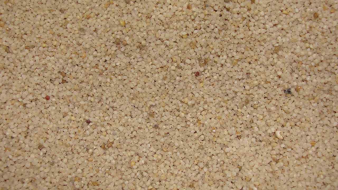 Barnyard Millet: Health Benefits And Nutrition Facts