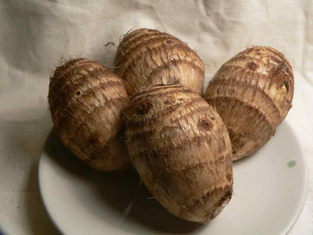 cocoyam-health-benefits-and-nutrition-facts-healthy-day