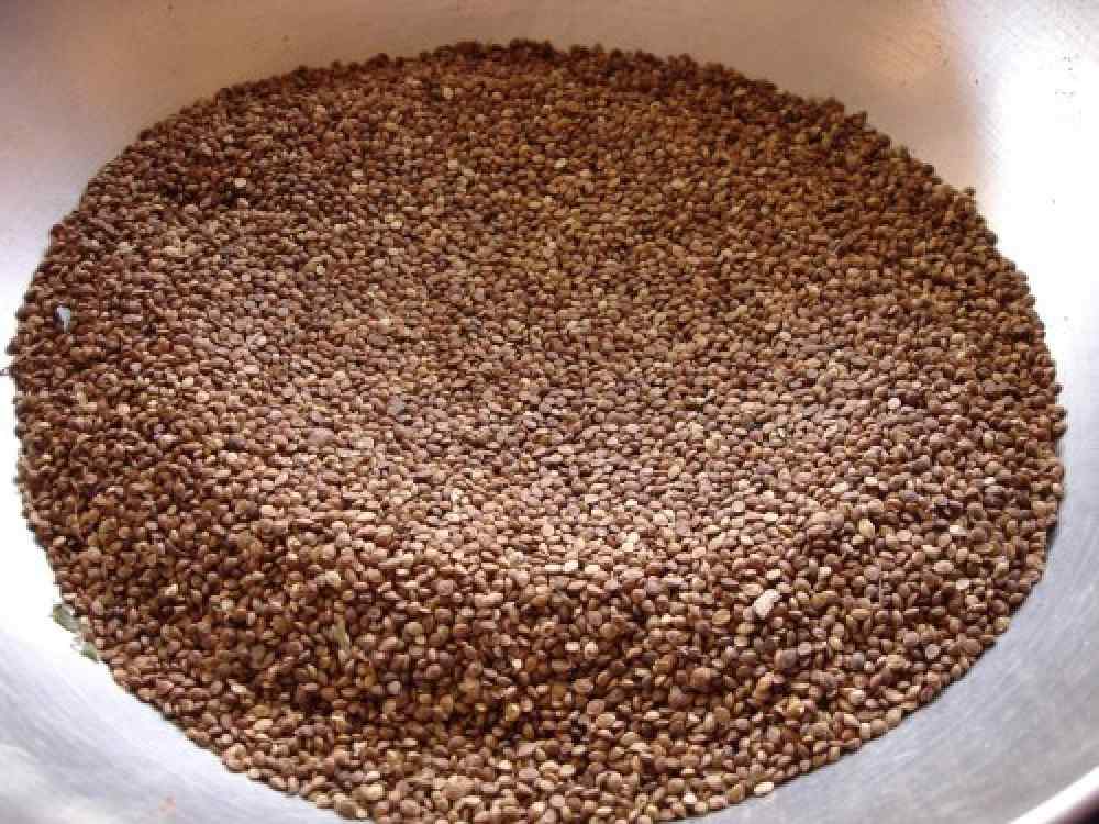 வரகு நன்மைகள் - Benefits Of Kodo Millet In Tamil