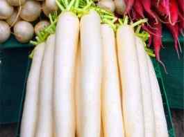 White Radish - Health Benefits and Nutrition Facts