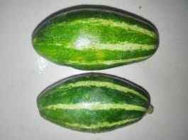 Pointed Gourd: Health Benefits And Nutrition Facts