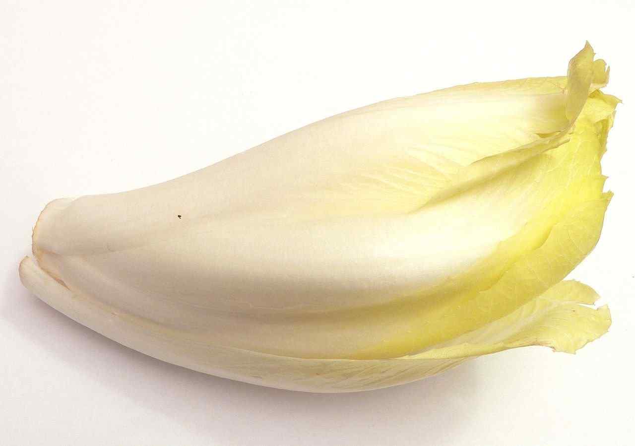 Endive Nutrition Facts and Health Benefits