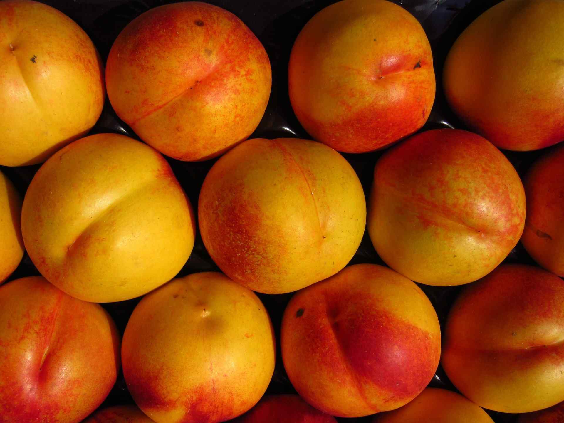 Nectarine: Health Benefits And Nutrition Facts