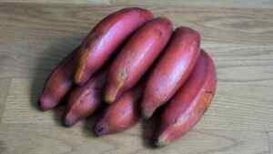 Red banana: Health Benefits and Nutrition